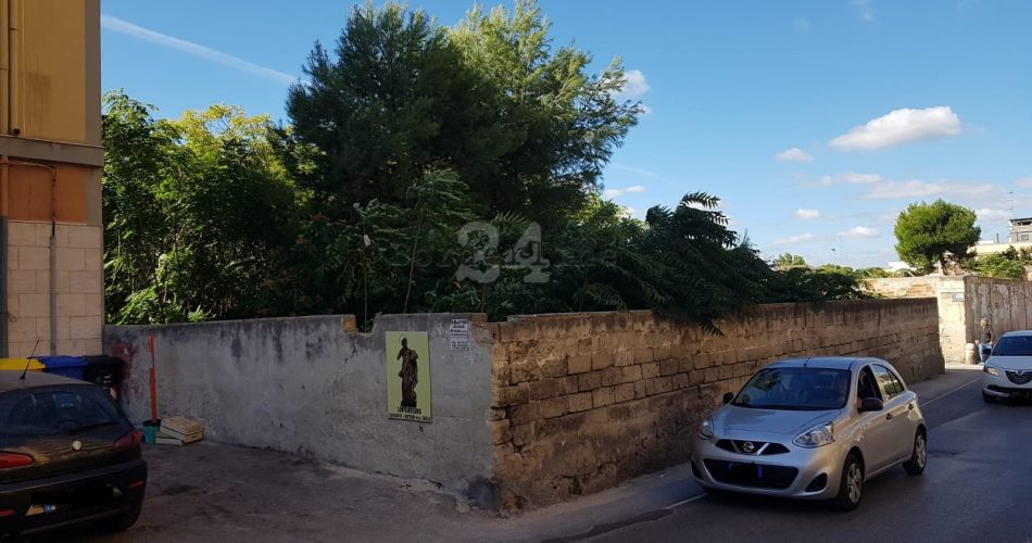 giungla san girolamo