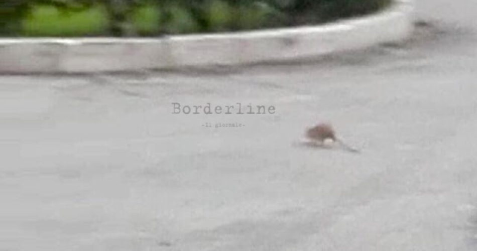 WhatsApp Image 2018-10-18 at 18.27.31