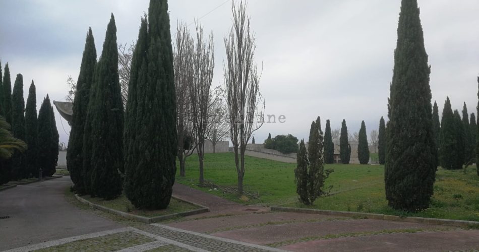 cimitero palese