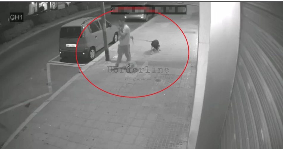 immagine padrone cane feci