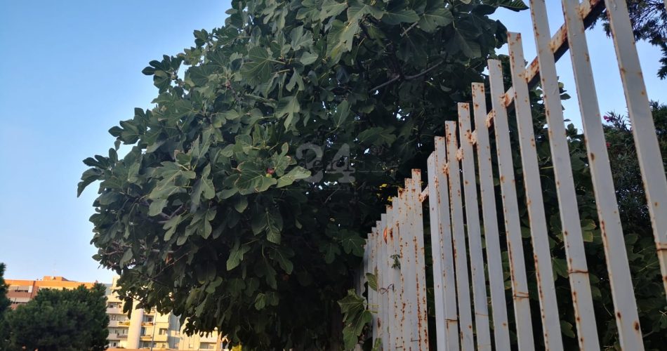 centro sociale san girolamo