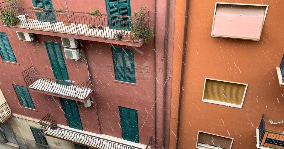 neve