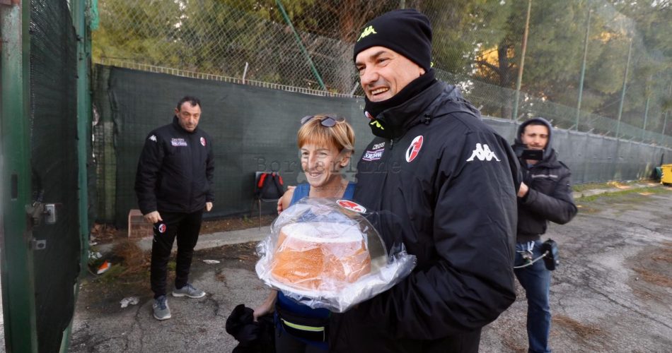 vivarini complenno