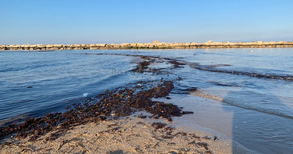 spiaggia pane e pomodoro