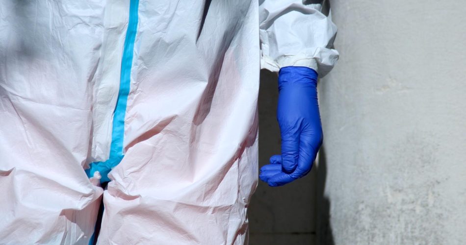 coronavirus 118