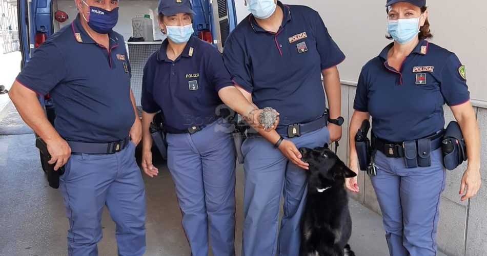 polizia cane