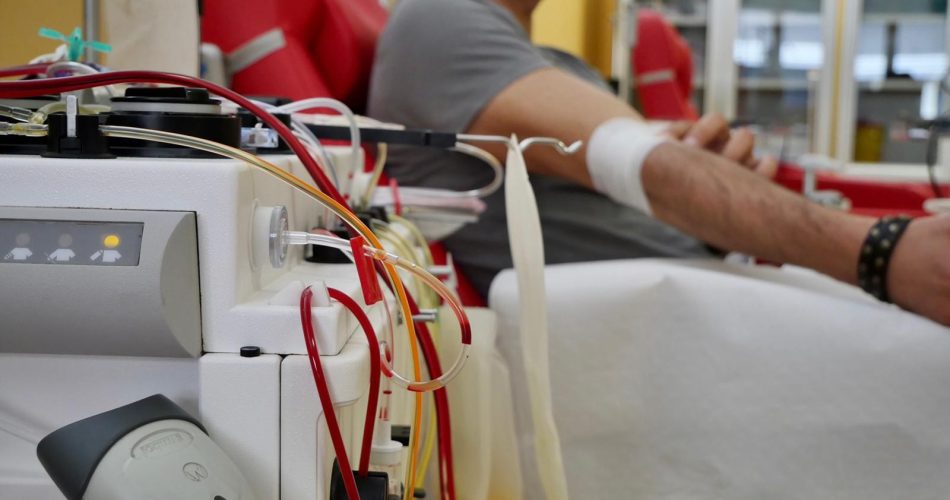 sangue donazione
