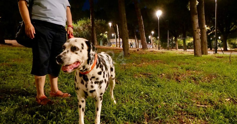 cane parco 2 giugno