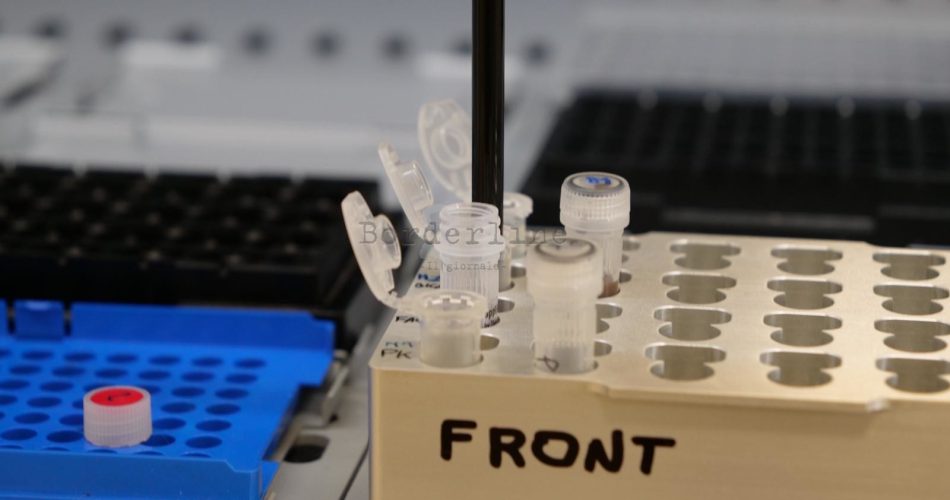 tampone covid coronavirus