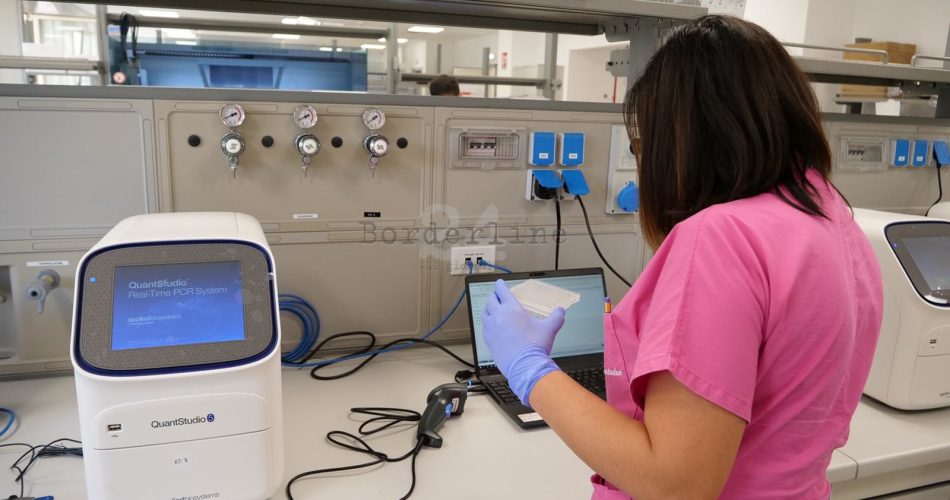 tampone covid coronavirus