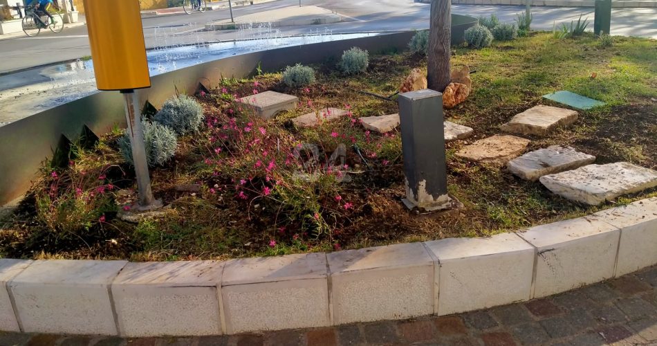 aiuola rotatoria san girolamo