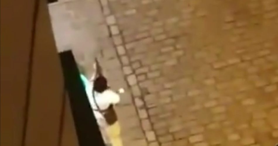 WhatsApp Image 2020-11-03 at 08.29.26