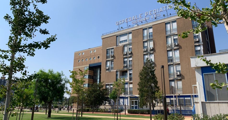 WhatsApp Image 2020-11-23 at 11.23.29