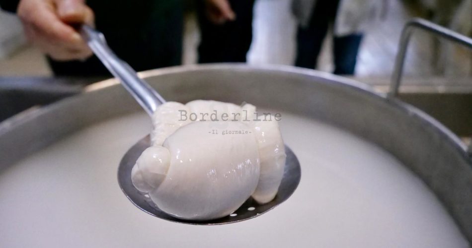 mozzarella