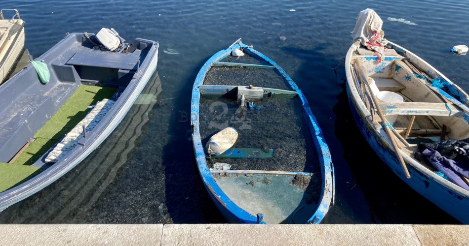 alghe lungomare molo san nicola