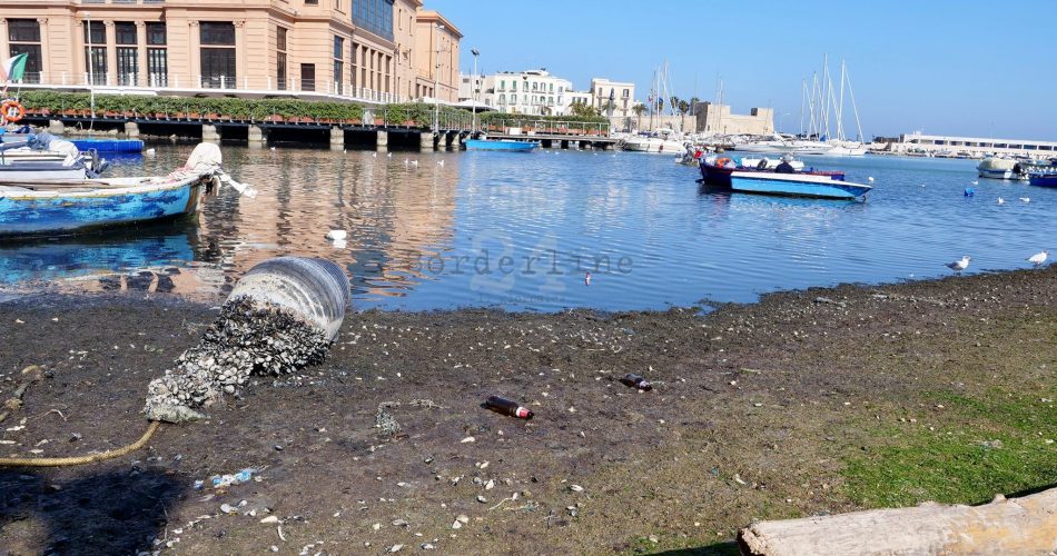 alghe lungomare molo san nicola