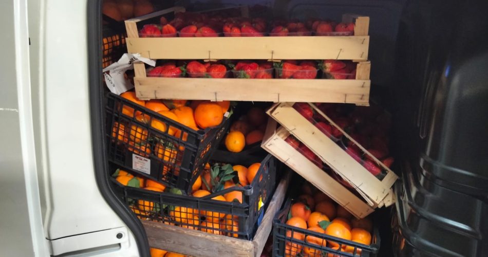 WhatsApp Image 2021-04-15 at 22.14.47-2