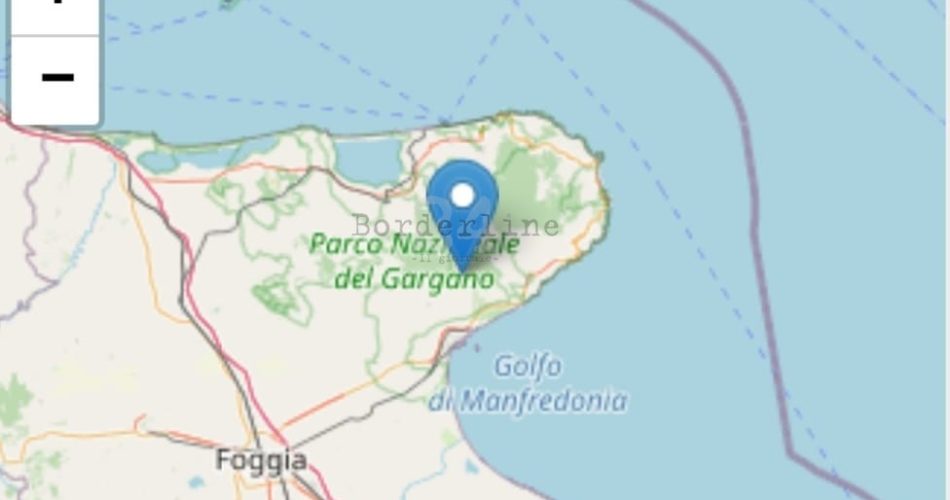 WhatsApp Image 2021-05-10 at 09.25.19