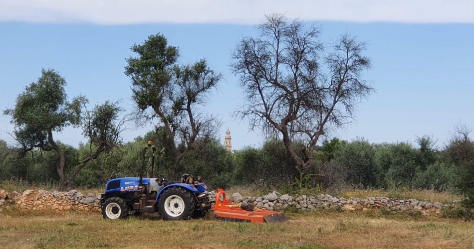 furto trattore cooperativa semi di vita