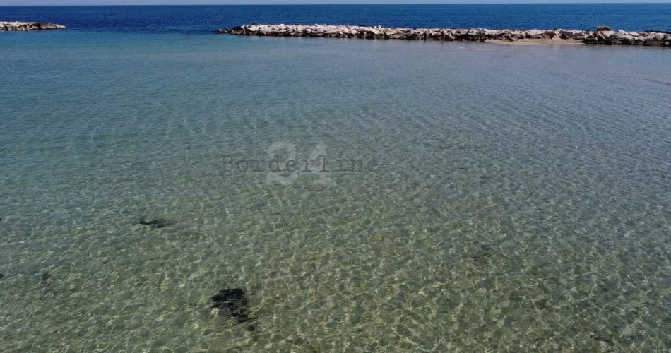 mare pane e pomodoro