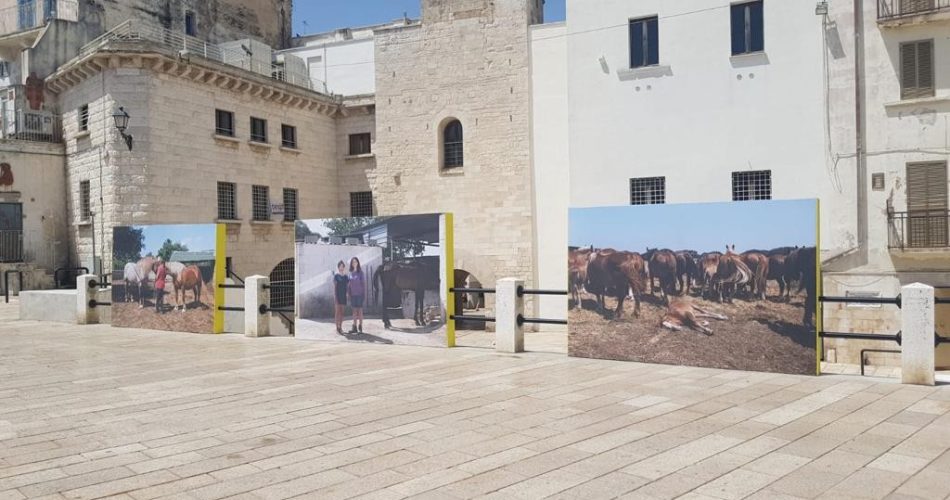 WhatsApp Image 2021-06-28 at 11.44.00 (3)