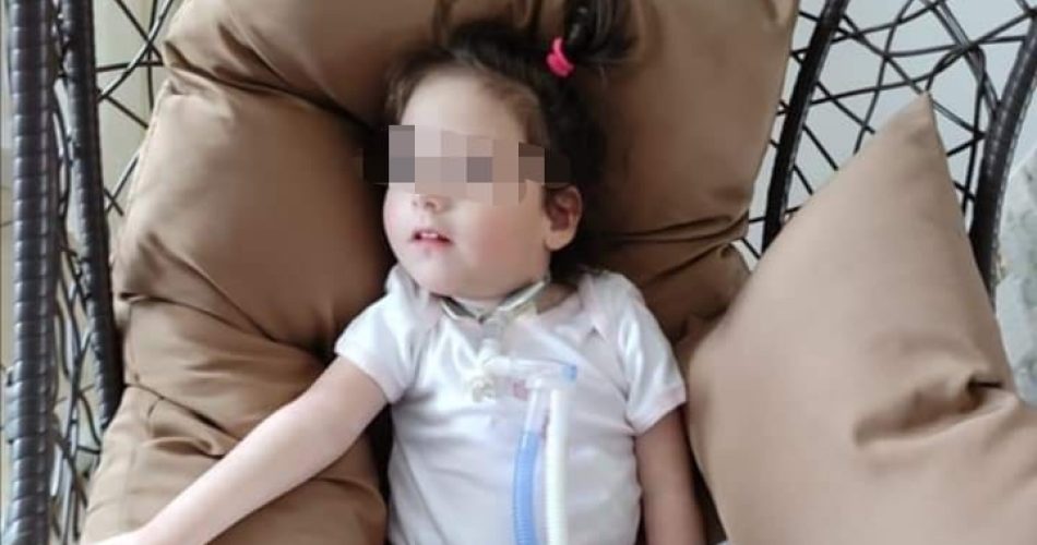 WhatsApp Image 2021-07-01 at 15.46.04