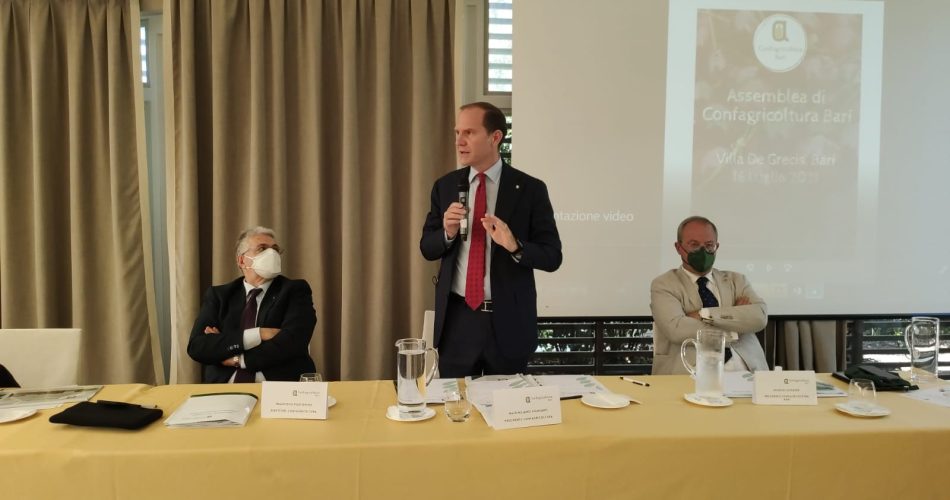 WhatsApp Image 2021-07-16 at 15.13.00