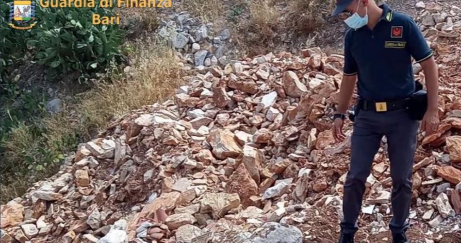 WhatsApp Image 2021-07-20 at 10.50.45