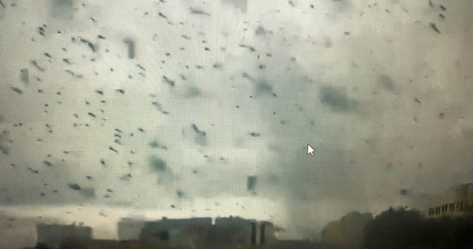 WhatsApp Image 2021-07-21 at 12.47.18