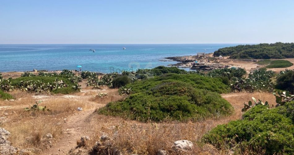 mare costa ripagnola