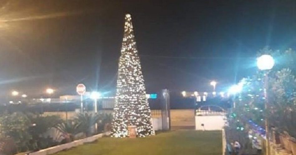 albero santa rita bari