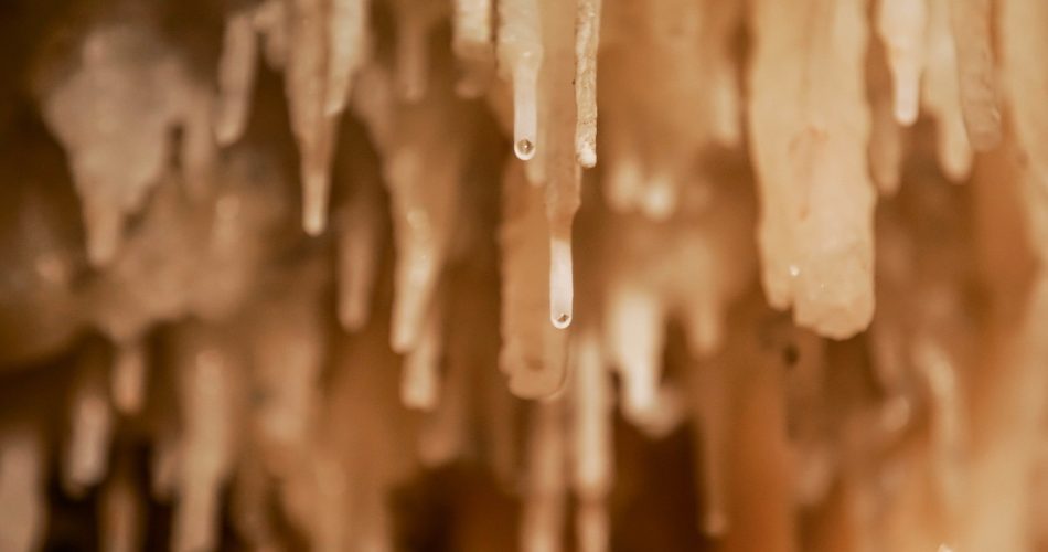 foto comune di castellana