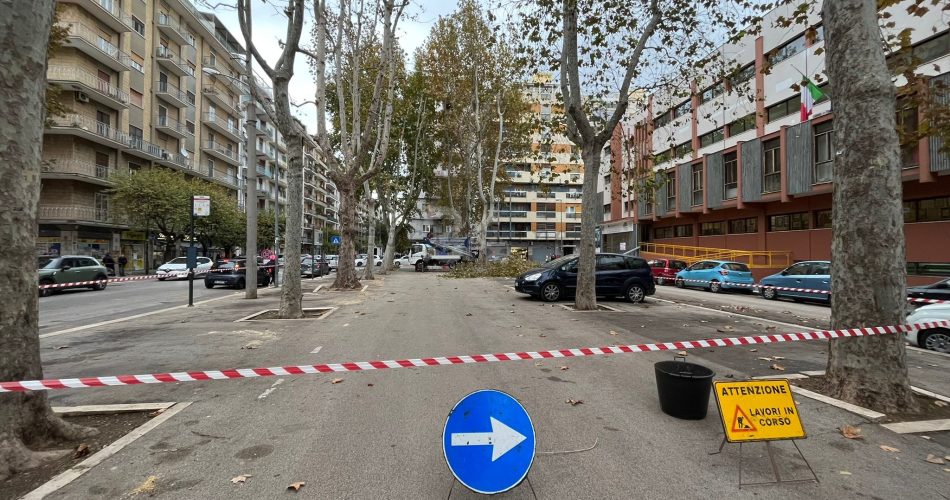 potatura corso mazzini