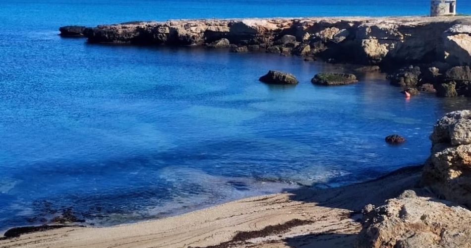 WhatsApp-Image-2022-01-20-at-15.01.13