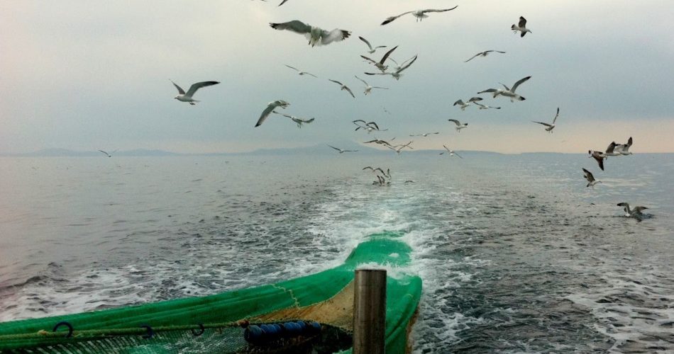 pescatori santo spirito