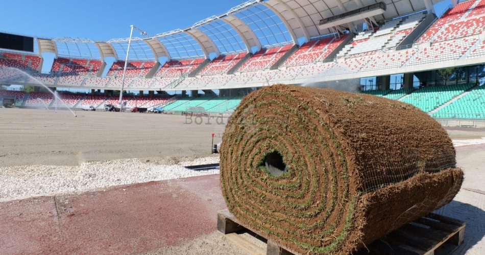prato stadio san nicola