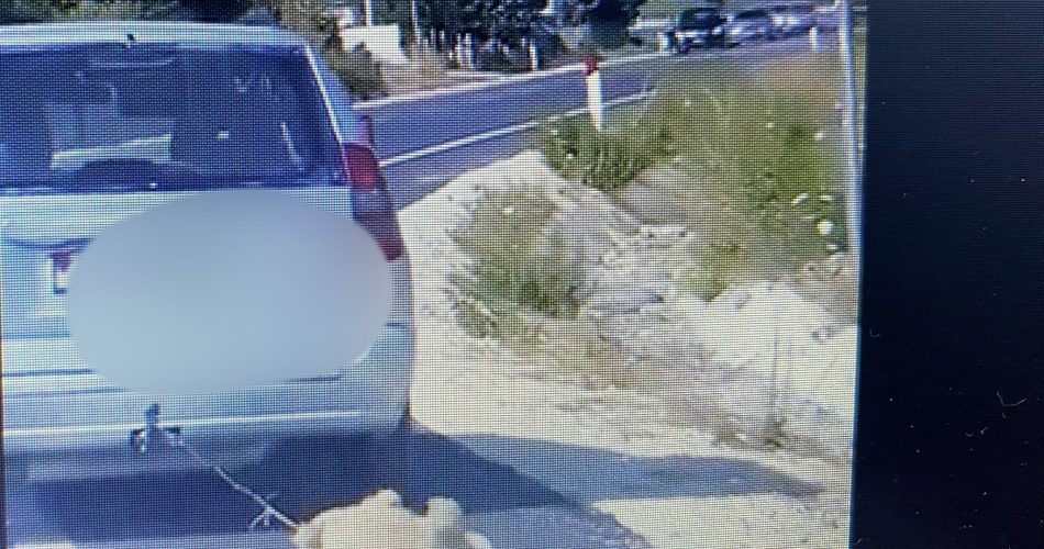 WhatsApp Image 2022-08-10 at 10.14.14