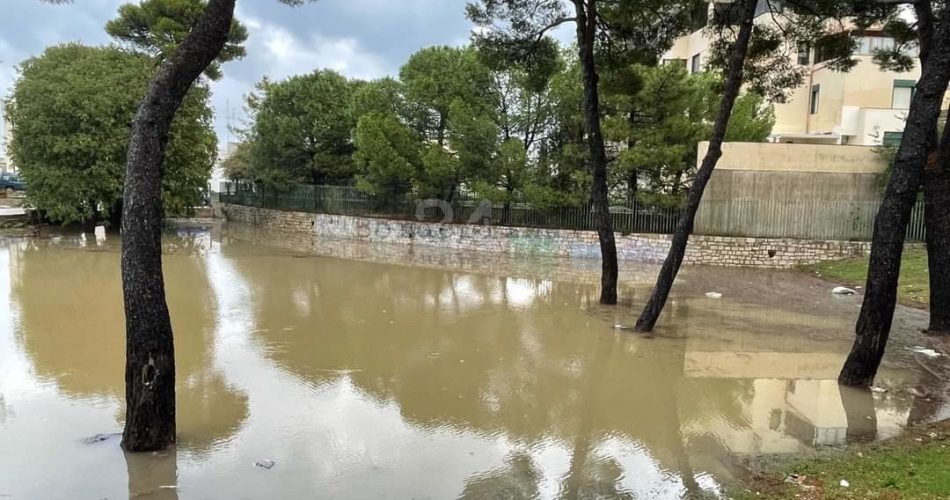 WhatsApp Image 2022-10-14 at 09.03.42