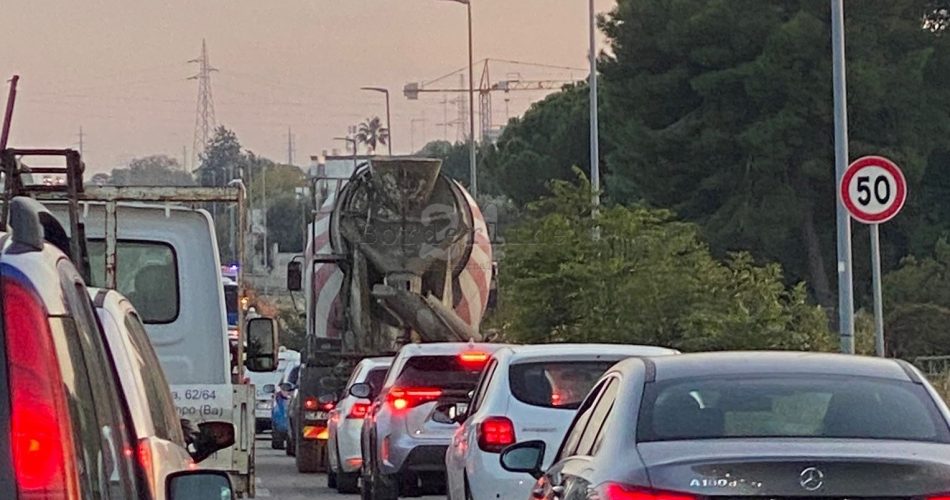 traffico traffico