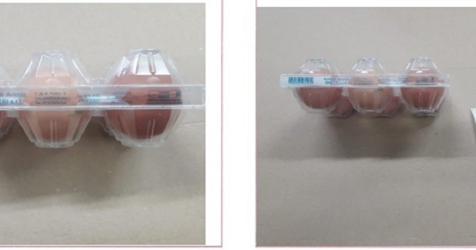 WhatsApp Image 2022-11-16 at 17.02.12 (1)