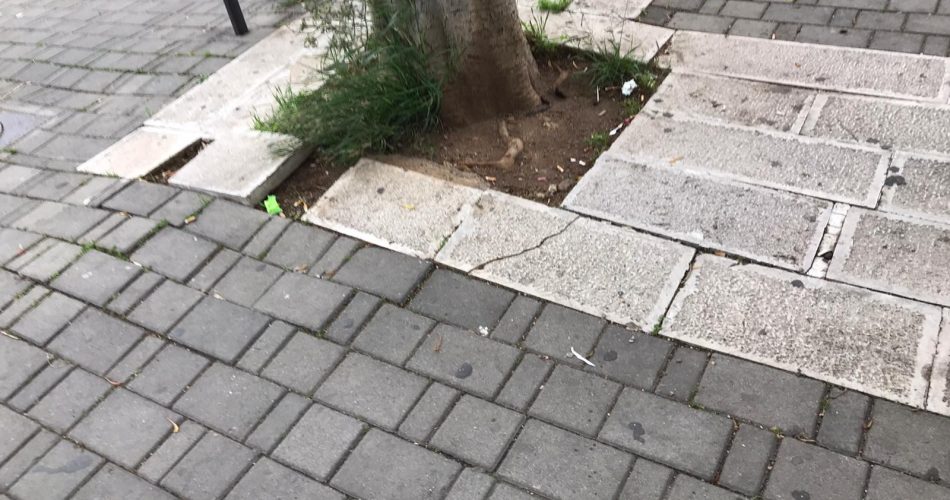 maierotti
