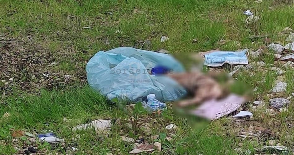 WhatsApp Image 2022-11-30 at 10.08.05