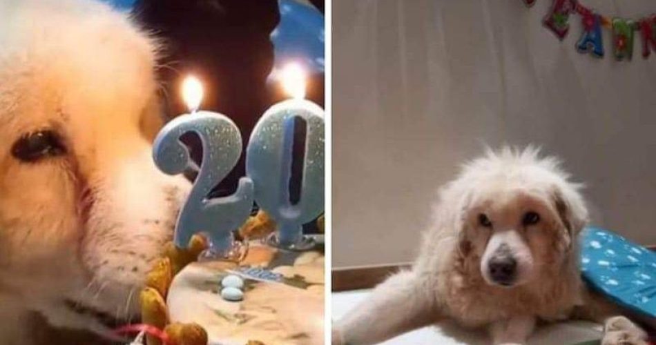 WhatsApp Image 2022-12-10 at 17.59.41