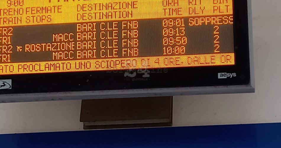 WhatsApp Image 2022-12-14 at 09.04.03