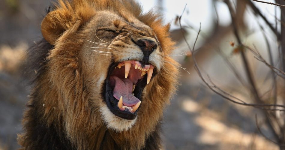 WhatsApp Image 2022-12-23 at 08.47.38 (1)