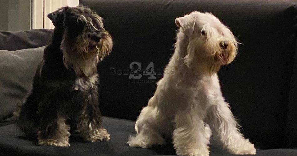 WhatsApp Image 2023-01-12 at 10.25.10