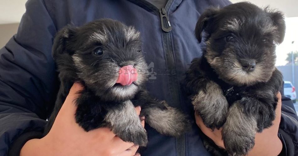 WhatsApp Image 2023-01-12 at 11.12.09