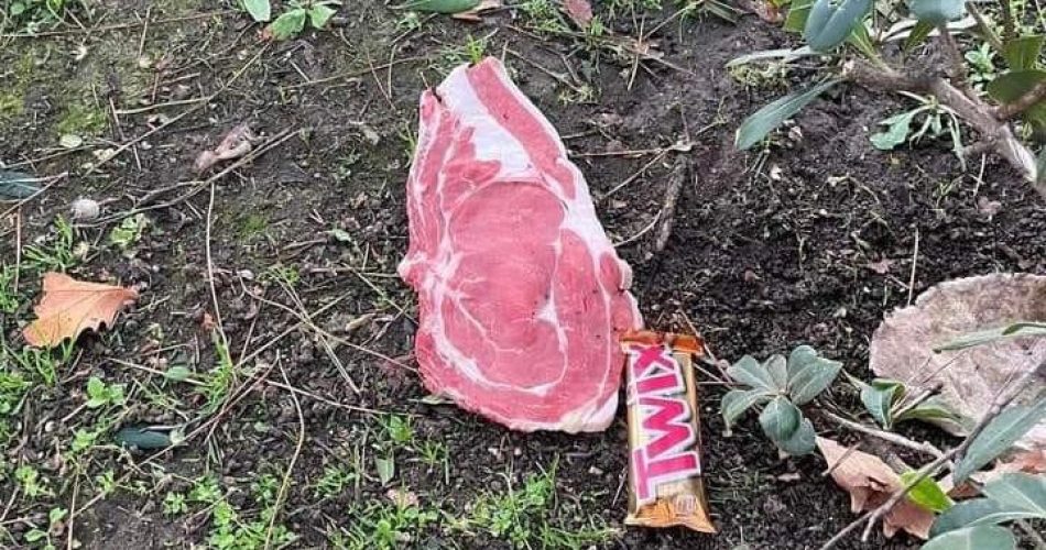 WhatsApp Image 2023-01-19 at 09.55.47