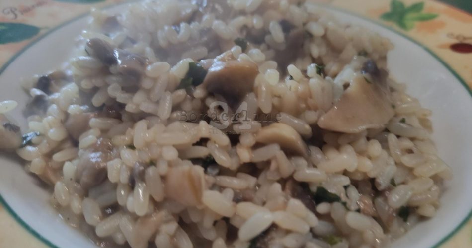 WhatsApp Image 2023-01-21 at 09.41.03