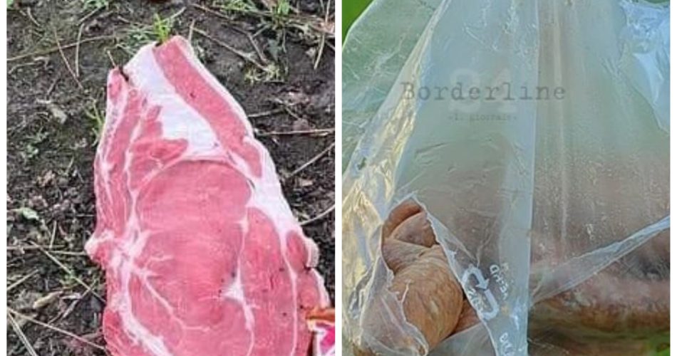 WhatsApp Image 2023-01-21 at 10.26.35